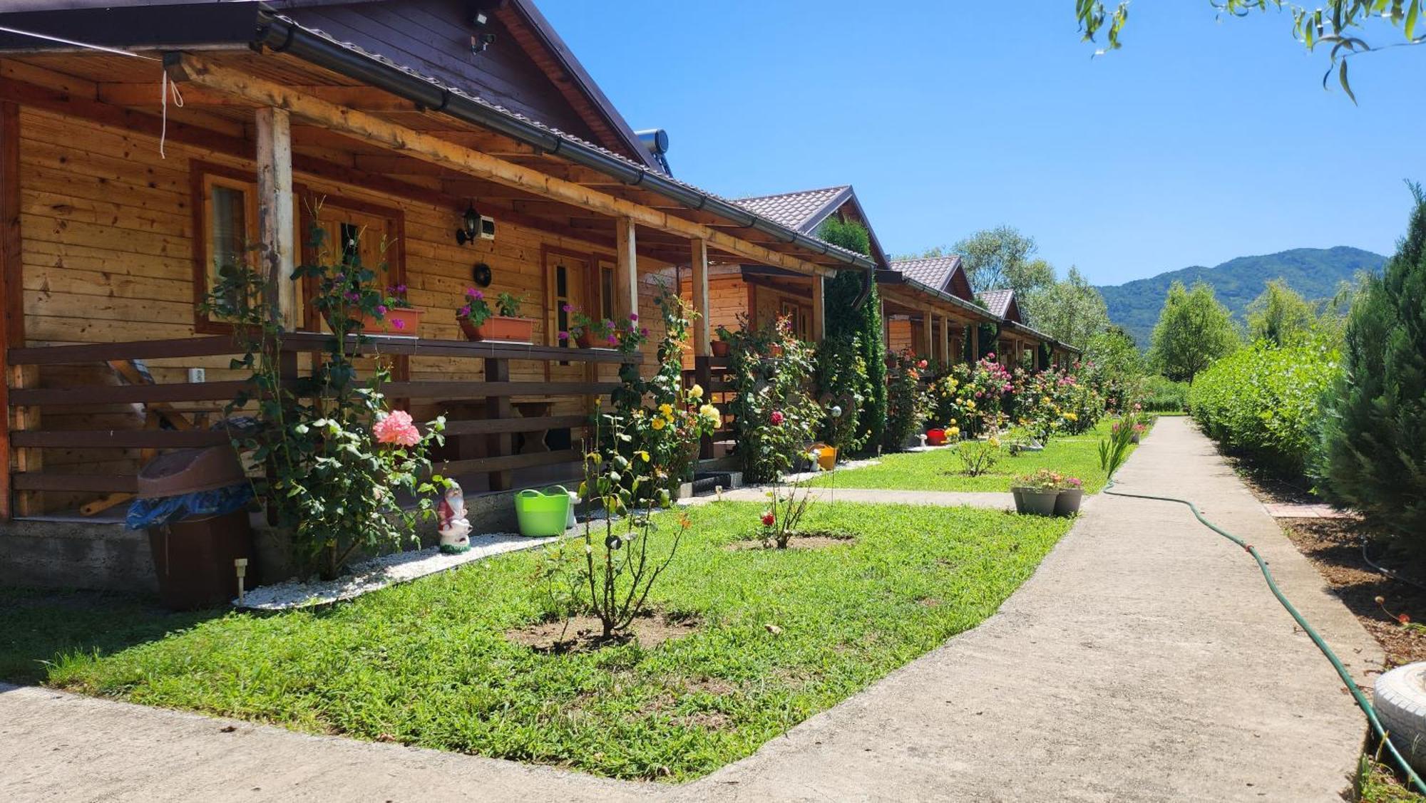 La Podul Gornii Otel Gornea Dış mekan fotoğraf